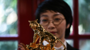 Burning bright: Vietnam's gold-plated new year tiger