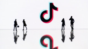 TikTok removed 4mn 'violative' videos in EU last month