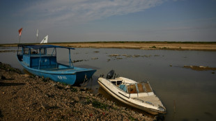 Proyecto de represa en China amenaza refugio de aves migratorias