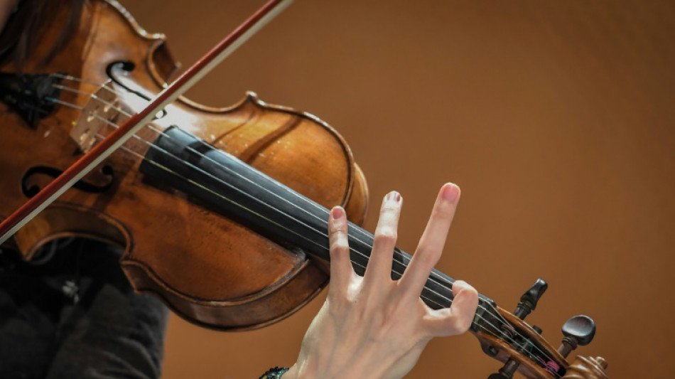 Los fabricantes de arco de violín, pendientes del futuro del pernambuco brasileño