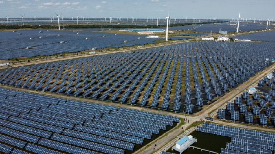 Les capacités renouvelables ont crû de 9% en 2021, d'abord en Asie (Irena)