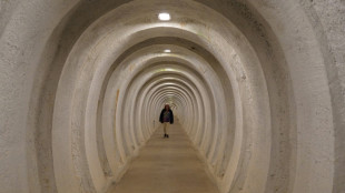 Cold War fears revisited in Danish nuclear bunker