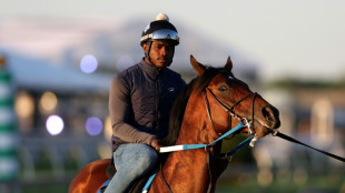 Epicenter favored in Preakness with Derby-winner Rich Strike out