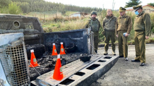 Asesinan a tres policías en un "atentado" en una zona mapuche del sur de Chile