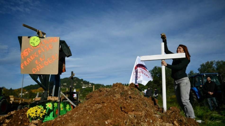 Widerstand gegen Mercosur-Abkommen: Neue Bauernproteste auf Frankreichs Straßen