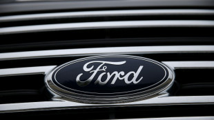 Strong fleet sales offset electric losses at Ford