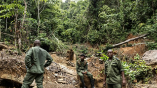 Sierra Leone rangers fight uphill battle against deforestation