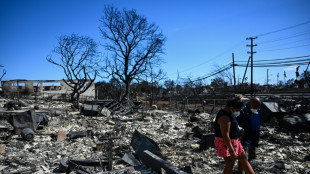 Death toll hits 80 as Hawaii starts probe into wildfire handling