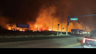 Scènes "apocalyptiques" à Hawaï, en proie à des incendies