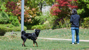 Voluntarios tratan de salvar a mascotas encerradas por confinamiento en Shanghái