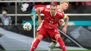 Le capitaine russe Dzyuba pas convoqué à cause de "la situation en Ukraine" 