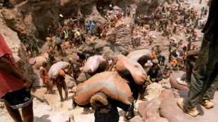 UN experts call for global system to trace critical minerals