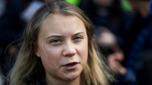 Greta Thunberg: Klima kein Thema bei Wahlkampf in Schweden