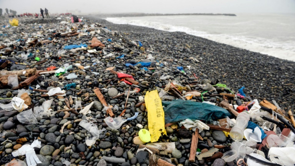 Pollution plastique: une "première version" du futur traité doit être rédigée d'ici novembre, selon l'ONU