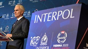 Interpol cumple 100 años luchando contra el crimen y contra las polémicas