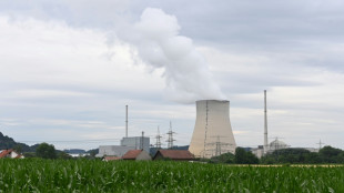 FDP betont grundsätzliches Festhalten am Atomausstieg