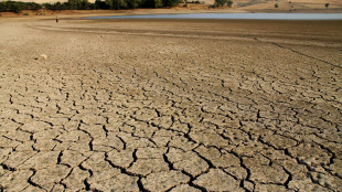 La Sicilia senz'acqua, mancano 180 milioni di metri cubi