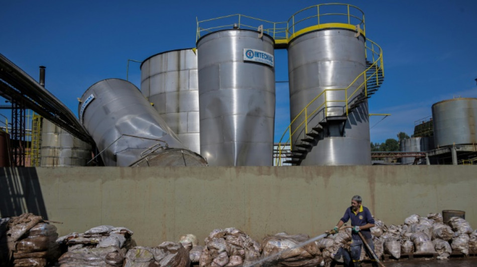 Flood-hit Brazil businesses count losses, look to future