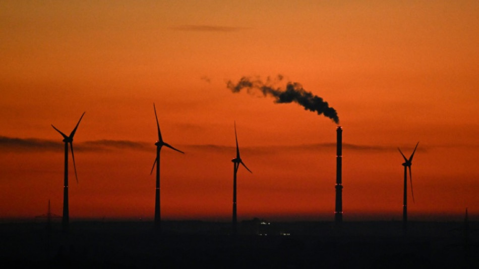 Verleihung von Umweltpreis: Steinmeier sieht Demokratien bei Klimaschutz vorn