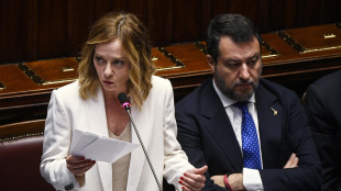 Meloni, Ecr e non i Liberali terzo gruppo, democrazia è altro