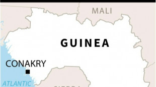 Stampede kills at least 56 at Guinea football match