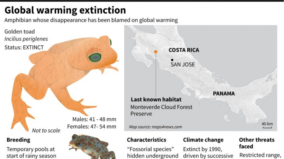 Lost golden toad heralds climate's massive extinction threat