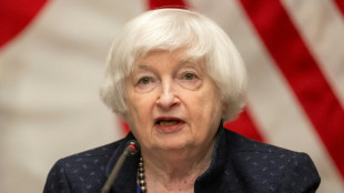 Yellen urges 'more ambitious' G7 plans for Russian assets