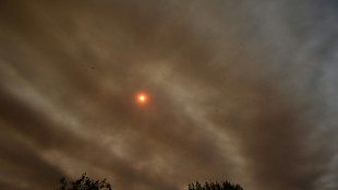 Fires in Brazil's Pantanal push wetlands community to limit