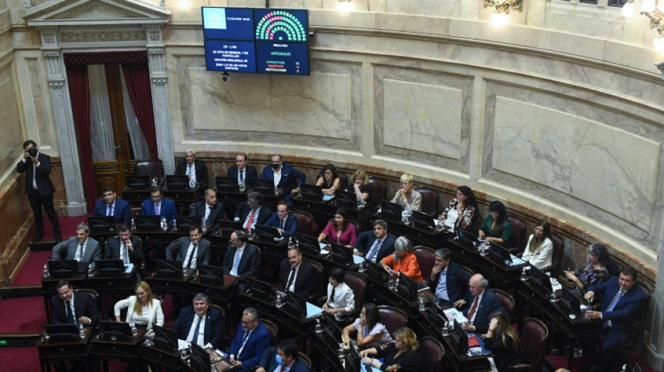 Argentina parliament approves IMF deal for $45 billion debt