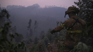 Humo procedente de los incendios forestales en Portugal llegará a España, según Copernicus