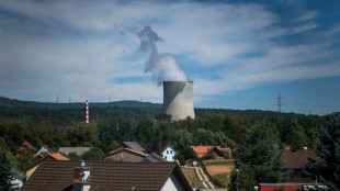 Bundesregierung formuliert Erwartungen an Schweiz nach Atom-Standortentscheidung