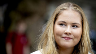 Dutch princess security threat raises crime fears