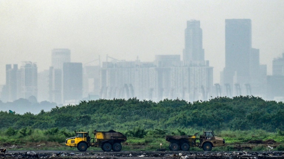 Course contre la montre à Singapour pour sauver "la décharge de l'Eden"