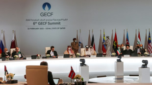 Sommet gaz: Doha salue les efforts pour assurer la "stabilité" des marchés