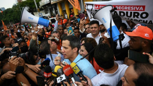 Aplazan la decisión sobre el futuro del "gobierno interino" de Guaidó en Venezuela