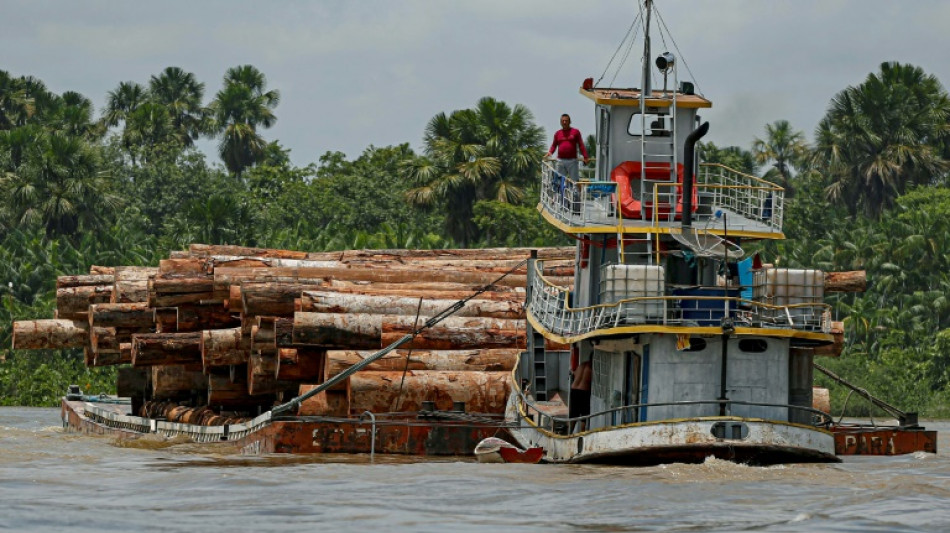 Record 1st-quarter deforestation in Brazilian Amazon