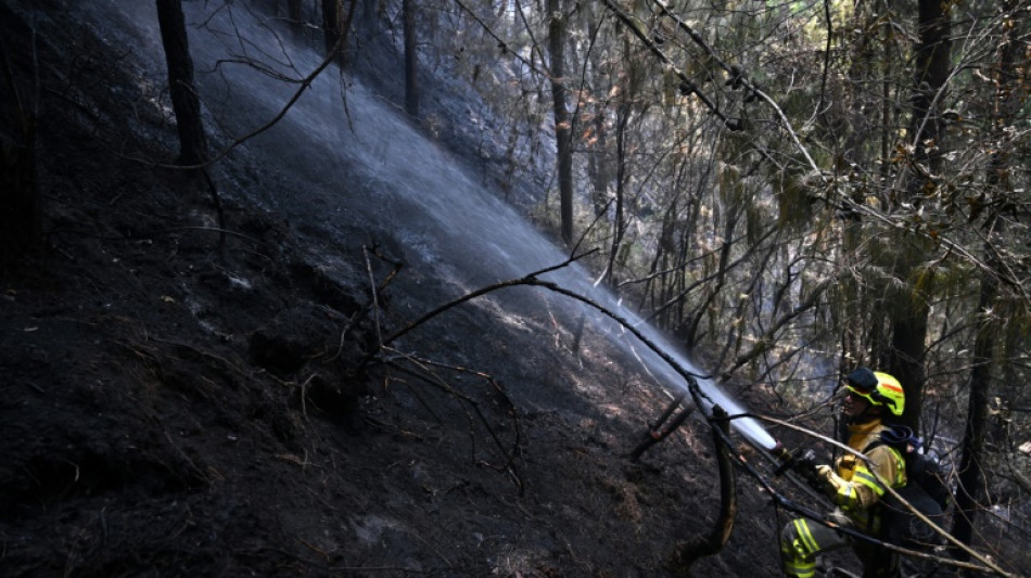 Colombia seeks international aid to combat forest fires edging in on homes