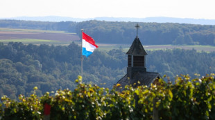 Au Luxembourg, l'apprentissage douloureux d'une agriculture sans glyphosate