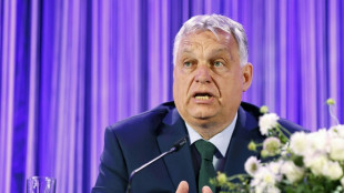 L'eurosceptique Hongrie d'Orban prend la présidence de l'UE