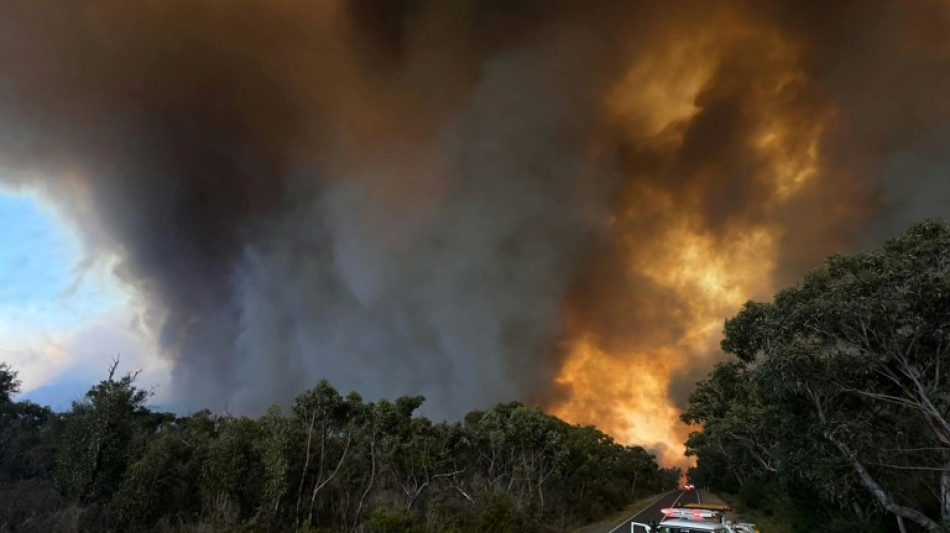 Australian bushfire burns area the size of Singapore