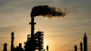 Energy sector CO2 emissions hit record in 2022: study