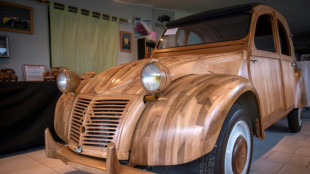 Tree-mendous ride: Wooden Citroen 2CV sells for 210,000 euros