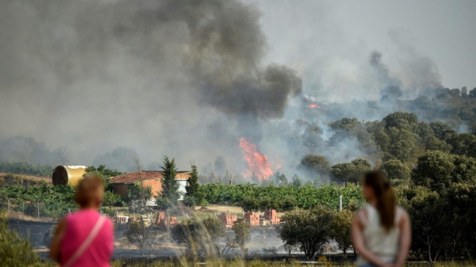 Europe heat sparks harmful ozone pollution, 'extreme' fire risk