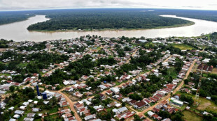 Amazonie: la jungle de la Vallée de Javari, l'une des plus denses de la planète