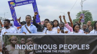 Green protest hits DR Congo ahead of climate summit