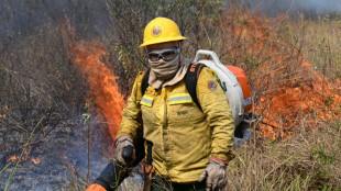 Woman firefighter on Brazil frontline after 2020 flames took her baby