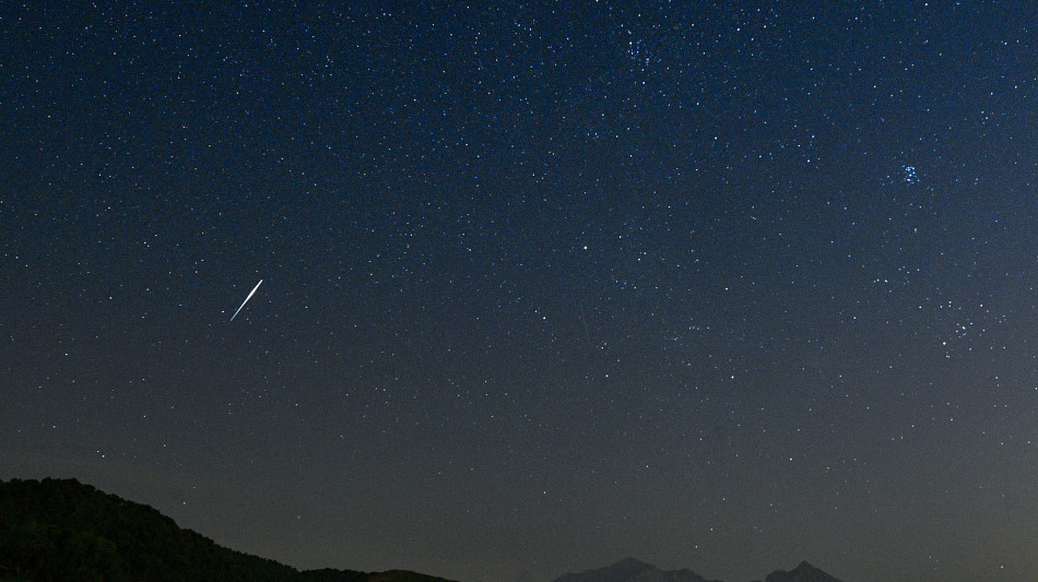 Una selva di comete oscure vicino alla Terra