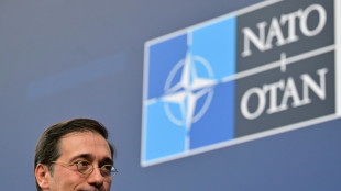 Spain, Mali FMs speak after row over NATO remarks