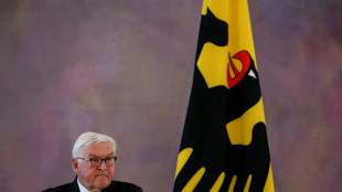 Steinmeier warnt vor nationaler Abschottung und neuem Blockdenken