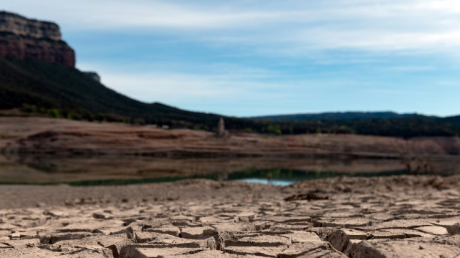 El Supremo español estudia una demanda contra el gobierno por inacción por el clima